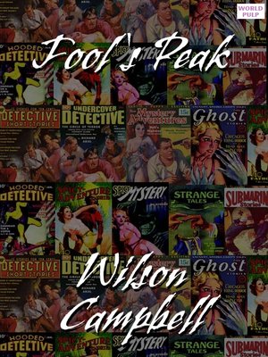 cover image of Fool's Peak